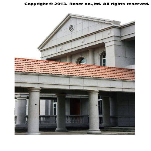 ROSER COPPER